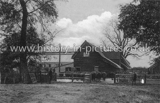 The Dairies, Silver End, Essex. c.1910